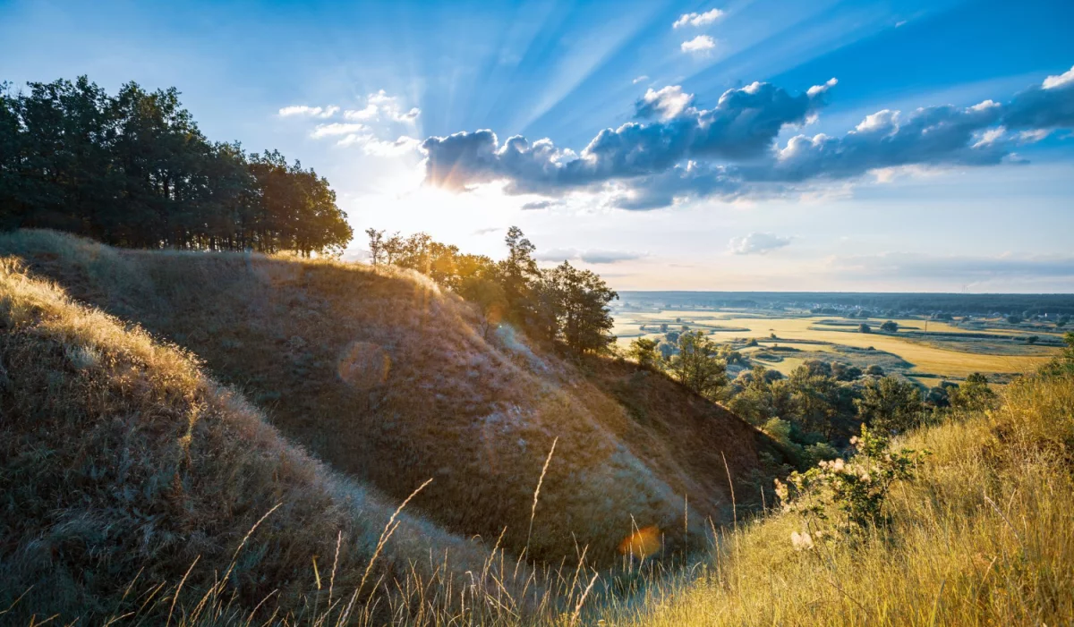Pomoc Drogowa Kraków: Szybka i Profesjonalna Pomoc na Drogach Krakowa dla Bezpieczeństwa i Komfortu Kierowców