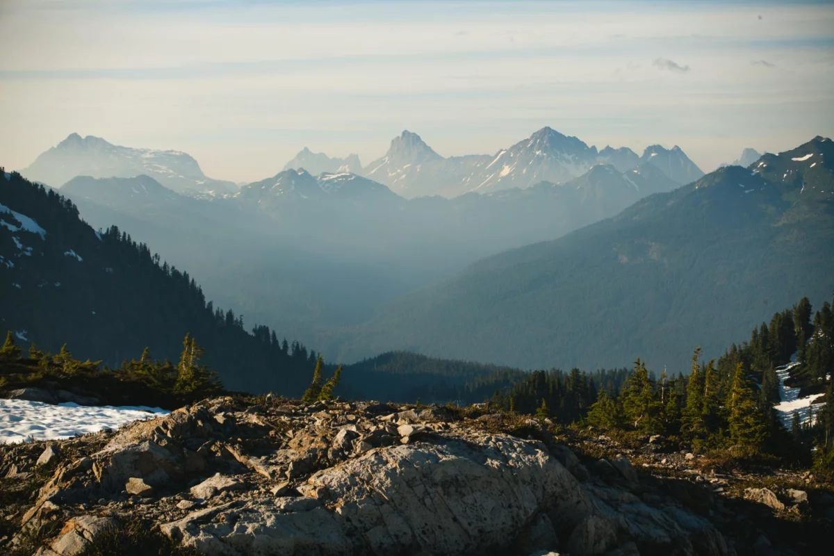 Analiza ekologiczna: Obliczanie śladu węglowego dla produkcji samochodów