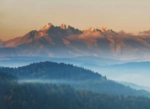 Elektronika: Rewolucja w Świecie Technologii