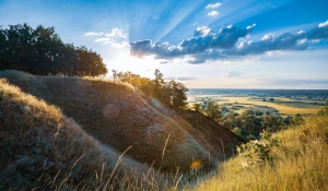 Fajne przepisy na wegańskie imprezy: Kreatywne dania, które oczarują Twoich gości!