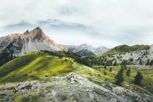 Transformacja AGD - wyzwania i nowe możliwości dla branży