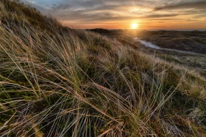 Elektronika: Kluczem do nowoczesnego świata