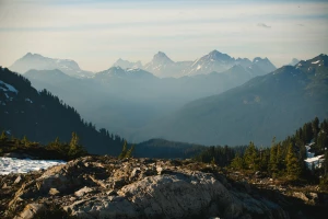 PrestaShop usługi: kompleksowe wsparcie dla Twojego sklepu internetowego